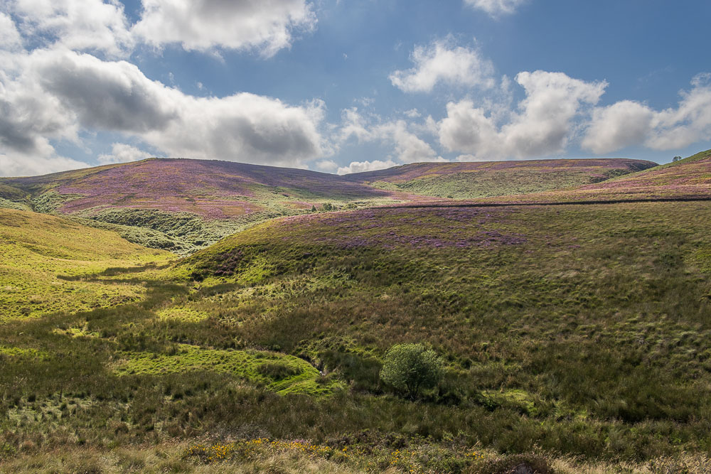 Burbage Edge Burbage Edge